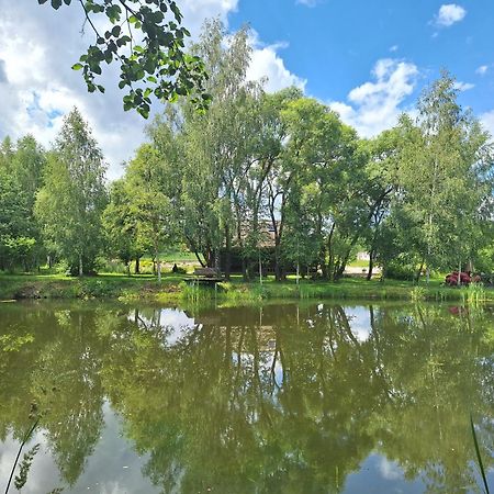 Akmeninis Bebras Villa Zemaiteliai Dış mekan fotoğraf