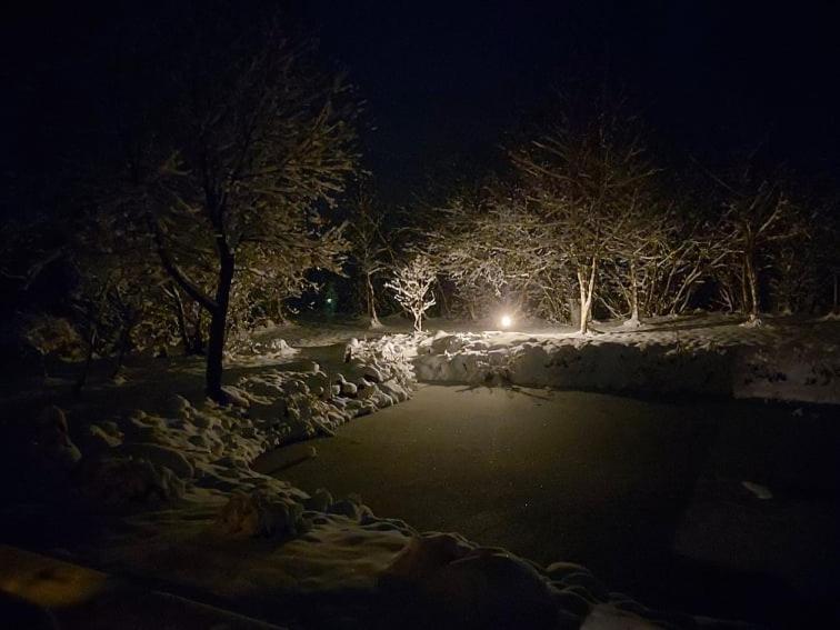 Akmeninis Bebras Villa Zemaiteliai Dış mekan fotoğraf