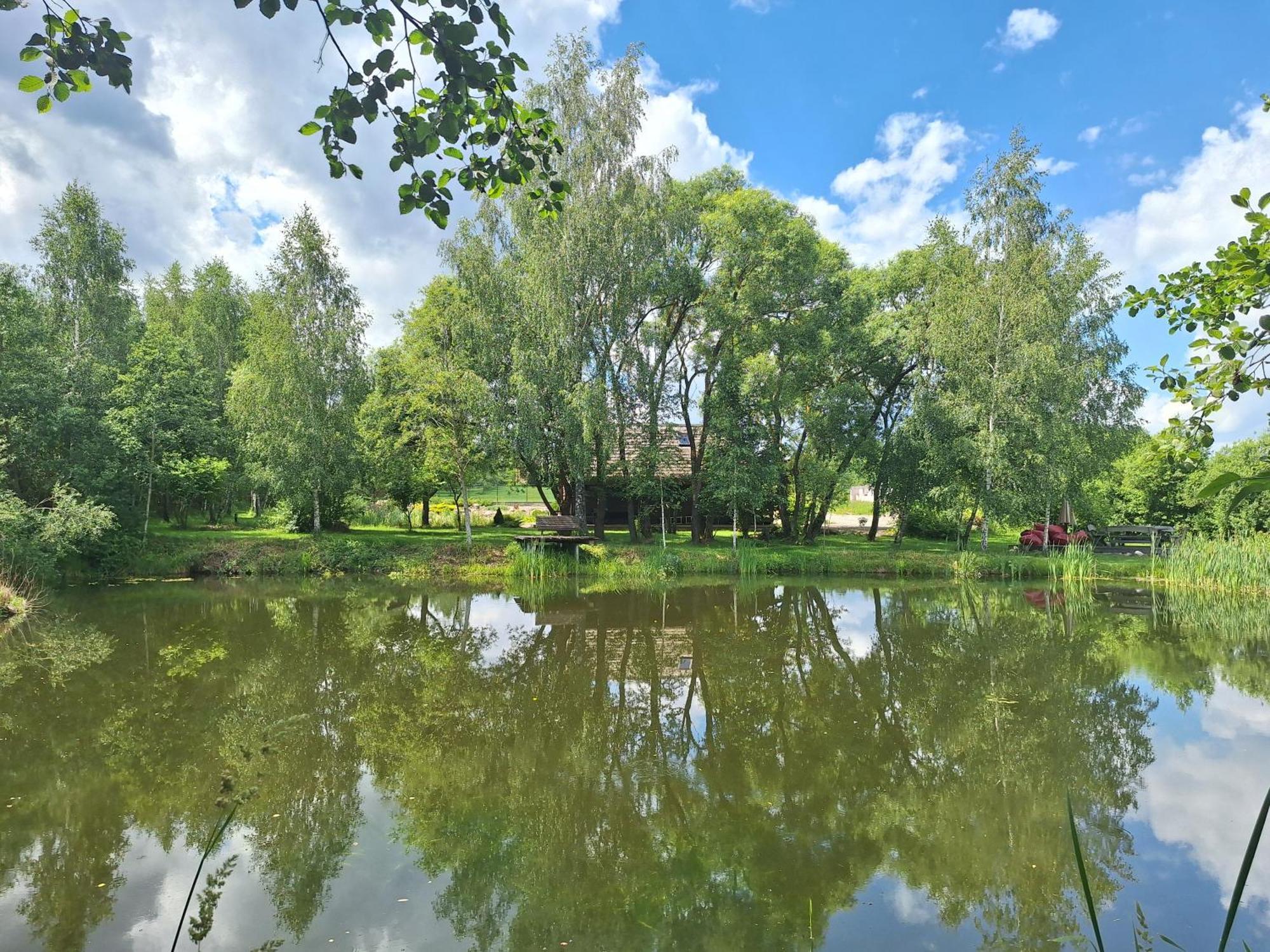 Akmeninis Bebras Villa Zemaiteliai Dış mekan fotoğraf