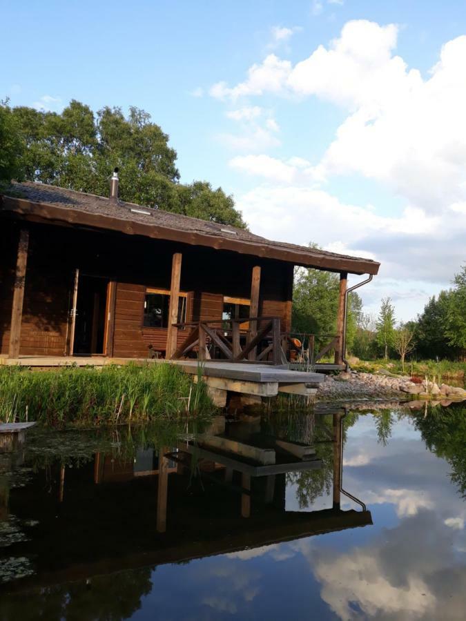 Akmeninis Bebras Villa Zemaiteliai Dış mekan fotoğraf